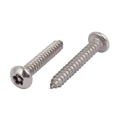 Pan Torx Head Self Tapping Screws