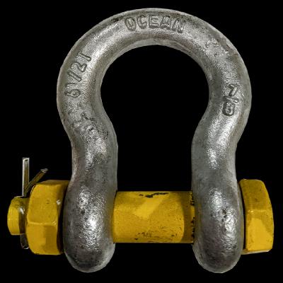 Shackle Bolt