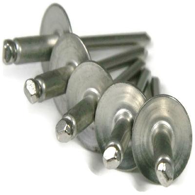 SS Rivets