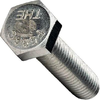 Stainless Hex Tap Bolts