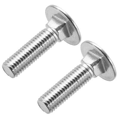 Stainless Steel Carriage Bolt