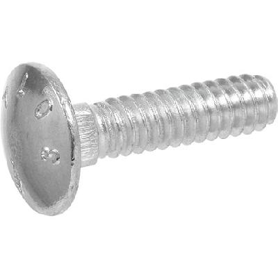 Zinc Plated Carriage Bolt