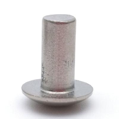 SS Solid Rivets