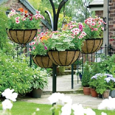 Double Hanging Basket