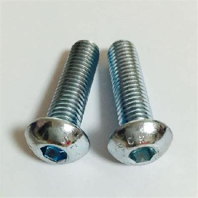 Round Head Bolts