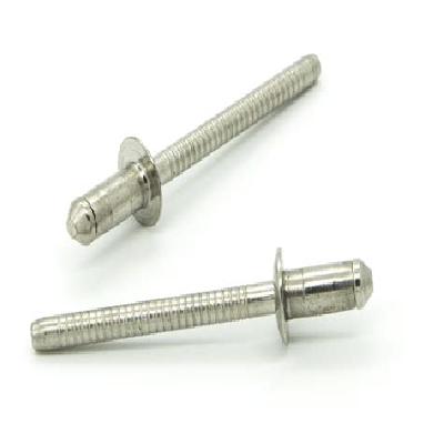 Automobile Special Rivets