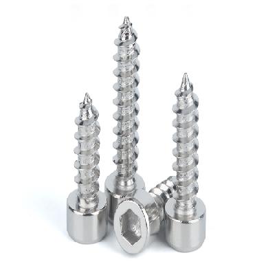Cheese Head Self Tapping Screw