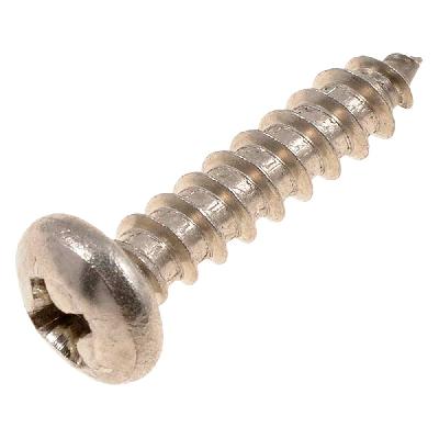 Cheese Phillips Head Self Tapping Screw