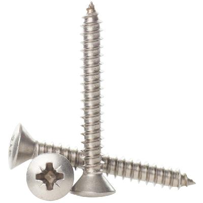 Raised Phillips Head Self Tapping Screw
