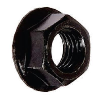 Mild Steel Hex Flange Nut