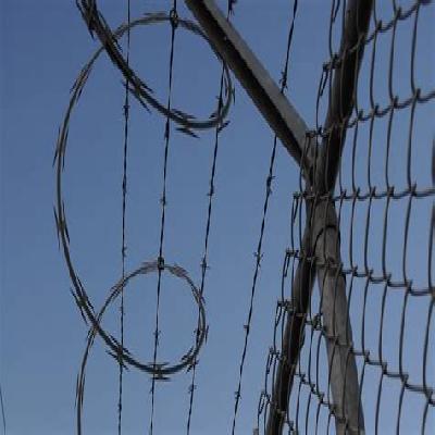 Concertina Wire