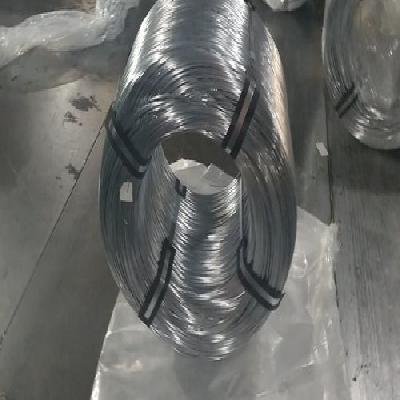 Mild Steel Hb Nail Wire 16swg To 20swg For Panel Pin