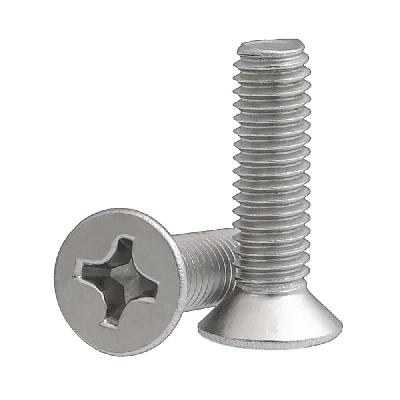 SS Screw 2x8 mm