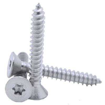 SS Selftyping screw 2x12 Mm