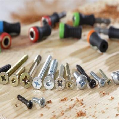 Magnet Support Screws