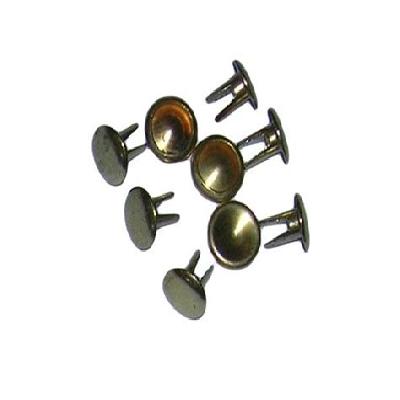 Bifurcated Rivet