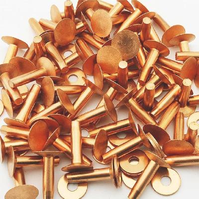 Tin Plated Copper Rivets