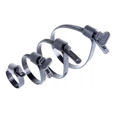Worm Drive Clamps