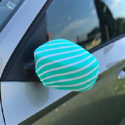 Car Side Mirror Cover