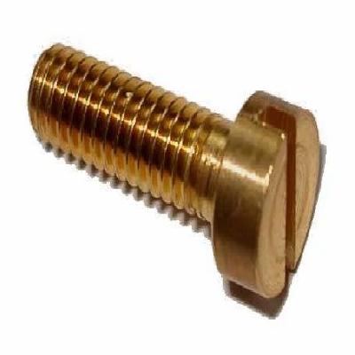 Brass Fillister Head Screw
