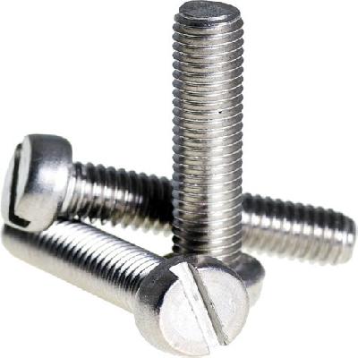 Cheese Head Screw