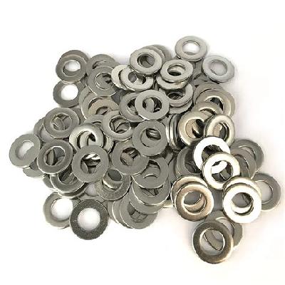 SS Plain Washer