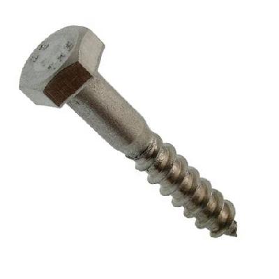 Coach Screw