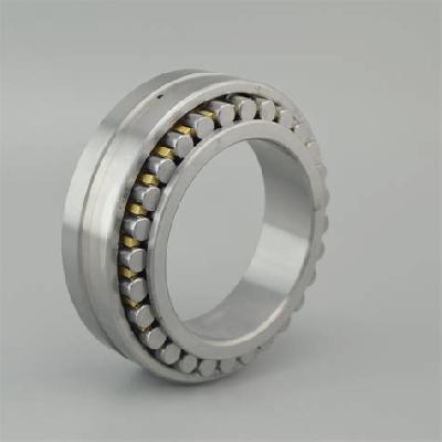 Double Row Cylindrical Bearing