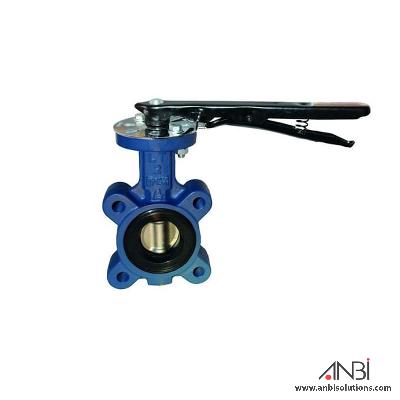 CI Butterfly Special Valves