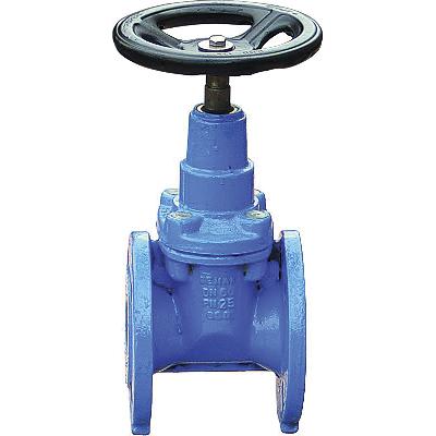 CI Gate Valve