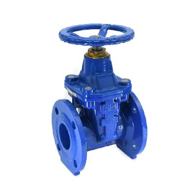 DI Sluice Valve