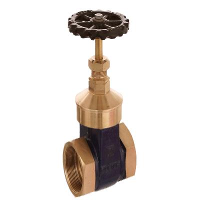 GM Gate Valve