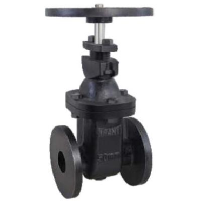 ISI Gate Valve