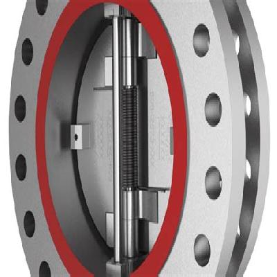 Dual Plate Check Valve