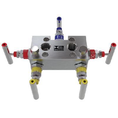 Five Valve Manifold