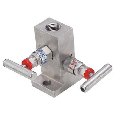 Two Valve Manifold