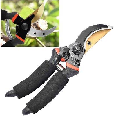 Flower Cutter or Pruning Shear