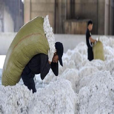 Cotton Waste Scrap