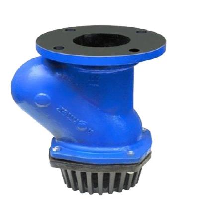 CI Foot Valve Screwed End