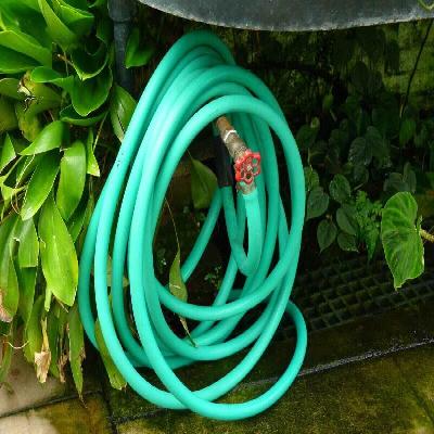 Garden Hose