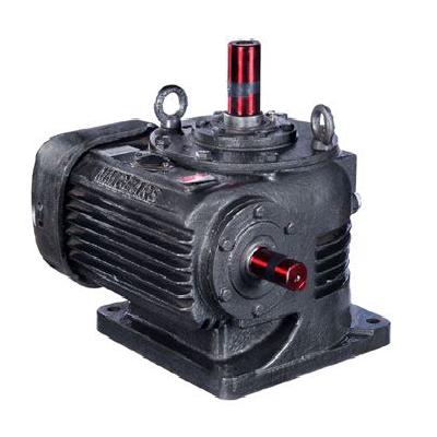 Vertical Worm Gear Box
