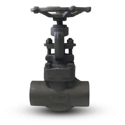 F and G Series Forged Steel Globe Valves