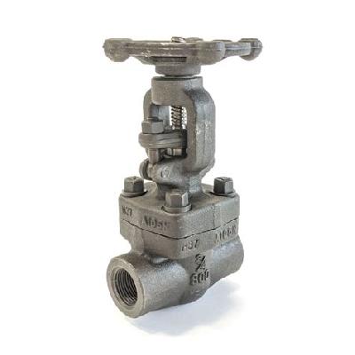 H and W Series Forged Steel Gate Valves