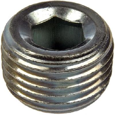 Pipe Plug
