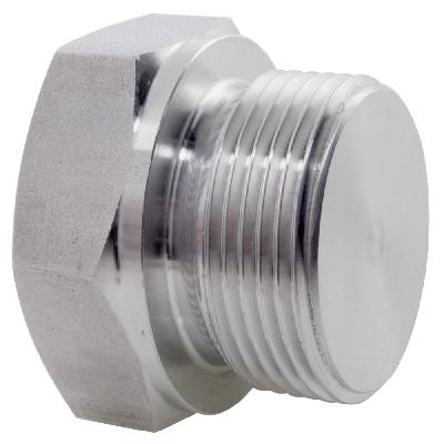 Stainless Steel Pipe Plug