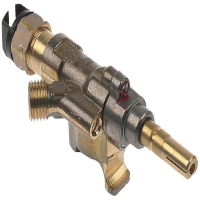 Sabaf Valve