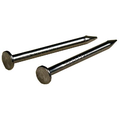 Stainless Steel Wire Nails