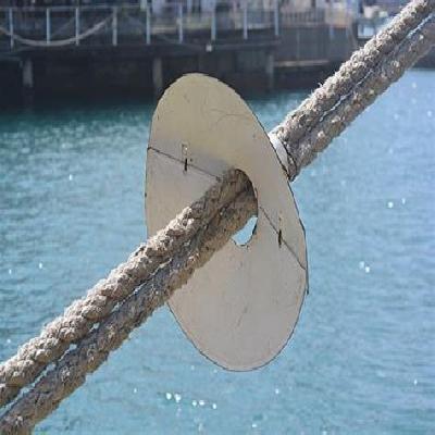 Rat Guards for Ships