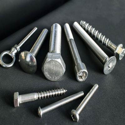 SS Special Bolt