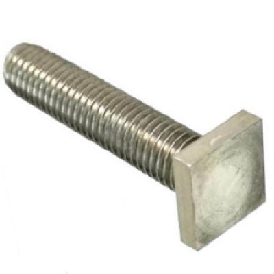 SS Square Head Bolts
